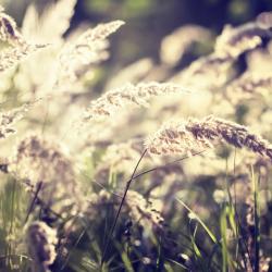 Schorfheide 6 hot&eacute;is na praia