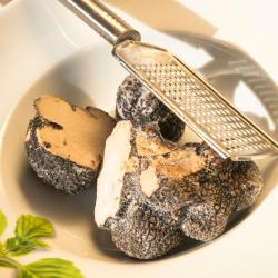 Abejar 4 kh&aacute;ch sạn th&acirc;n thiện với th&uacute; cưng