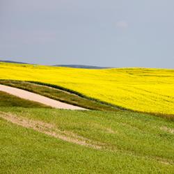 Canora 4 holiday rentals