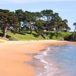 Cowes 166 pet-friendly hotels