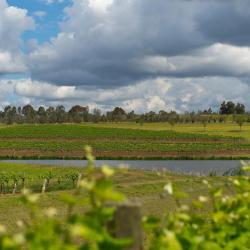 Cowaramup 12 hotels with parking