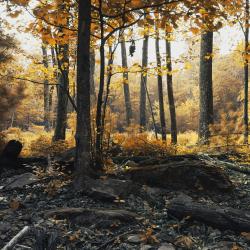 Braine-le-Ch&acirc;teau 3 hotel con parcheggio