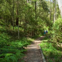 Dandenong 8 ferieboliger