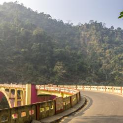 Siliguri 38 family hotels