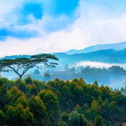 Vagamon 3 glampings