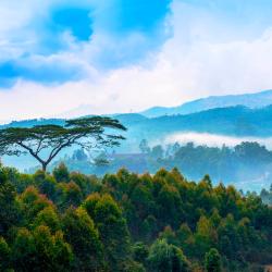 Vagamon 5 guest houses