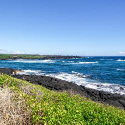 Pahala 3家公寓
