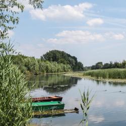 Dávod 8 of the holiday rentals