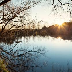 Taylors Lakes 5 hotels