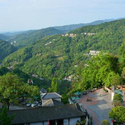 Taiping 4 pet-friendly hotels