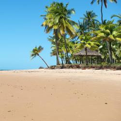 Marau 3 bungalows