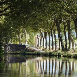 Trèbes 4 B&B's