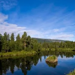 Ljusnedal 호텔 1개