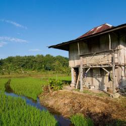 Bandar Lampung 4 hostels