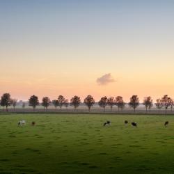 Raalte 5 cabins