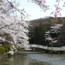 Machida 13 hotels with parking