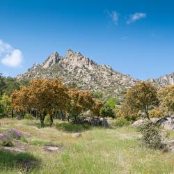 Cercedilla 3 B&Bs