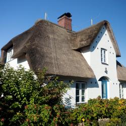 Oevenum 35 of the cottages