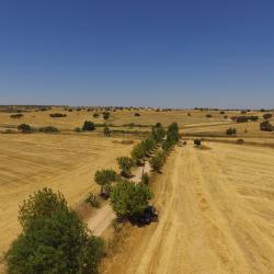 Campo Maior 6 hotela