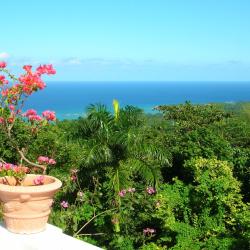 Saint Annʼs Bay 25 of the villas