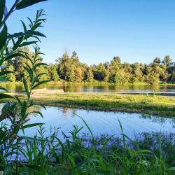Keizer 5 hotels