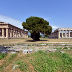 Capaccio-Paestum 75 hotelů