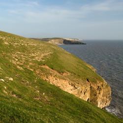 Bridgend 3 glamping sites