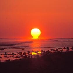 Ocean Isle Beach 10 hotels