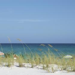 Orange Park 31 hotels