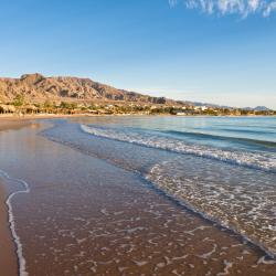 Nuweiba` 9 pet-friendly hotels