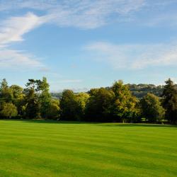 Thrapston 3 pet-friendly hotels