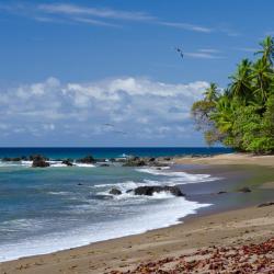 Playa Flamingo 118 hoteles