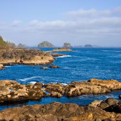 Ucluelet 88 hoteles