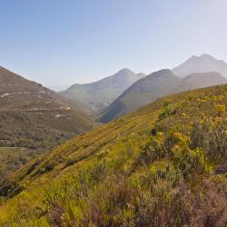 Montagu 8 glampingpladser