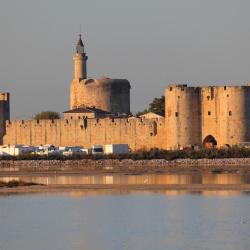 Aigues-Mortes 99 hôtels