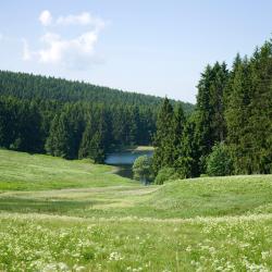 Hahnenklee-Bockswiese 3 B&B-uri