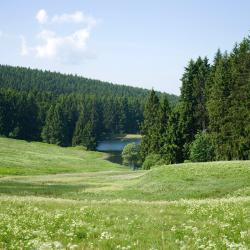 Hahnenklee-Bockswiese 189 hotelov