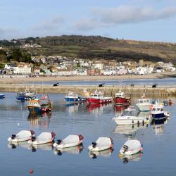 Lyme Regis 5 cabins