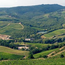 Radda in Chianti 6 farm stays