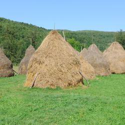 Băile Tuşnad 20 guest houses