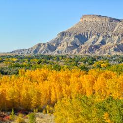 Grand Junction 124 hotels
