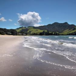 Whitianga 8 guest houses