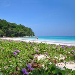 Thong Nai Pan Noi 15 hotels with parking