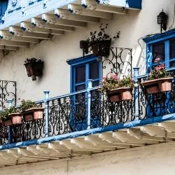 산 페드로 술라