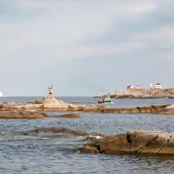 Greenspond 1 hotel