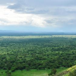 Parque Nacional de la Selva Impenetrable de Bwindi 5 hoteles