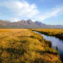 Hermon 5 pet-friendly hotels