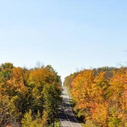 Washago 3 pet-friendly hotels