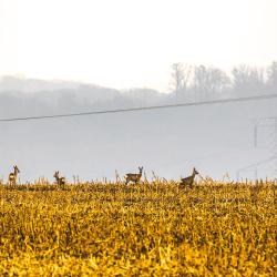 스투파바 취사 가능한 숙소 8개