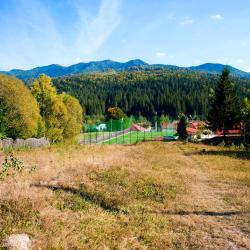 Lepşa 12 guest houses